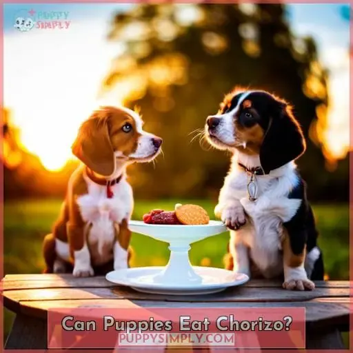 Can Puppies Eat Chorizo?