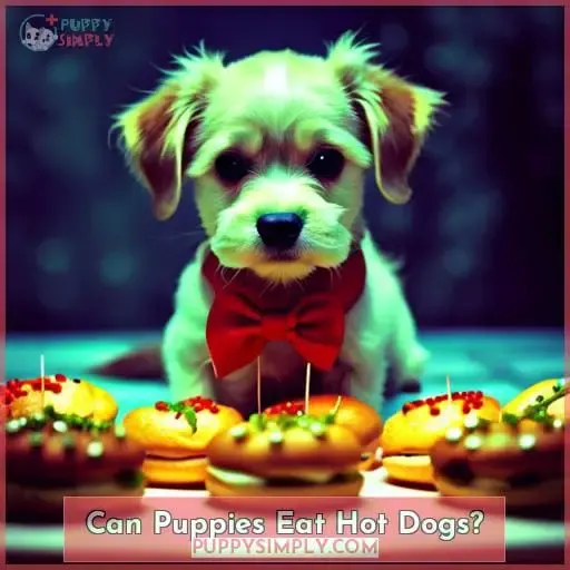 Can Puppies Eat Hot Dogs