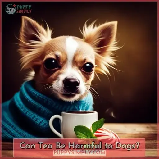 Can Tea Be Harmful to Dogs