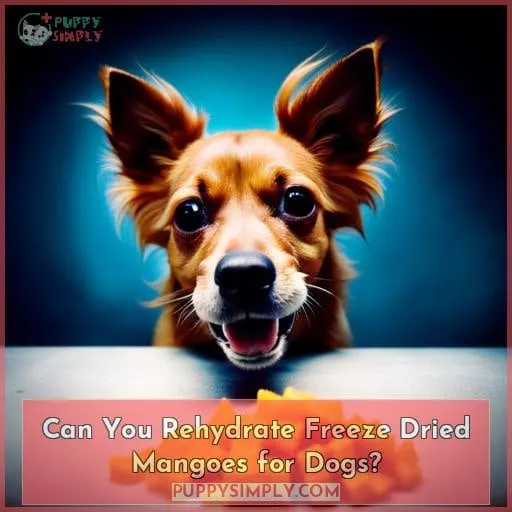 Can You Rehydrate Freeze Dried Mangoes for Dogs?