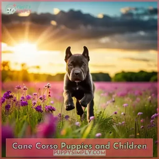 Cane Corso Puppies and Children