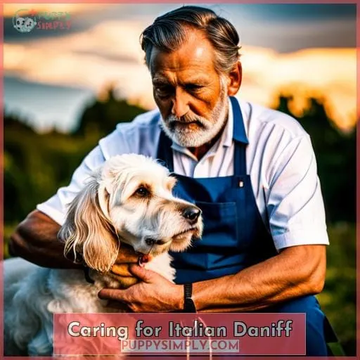 Caring for Italian Daniff
