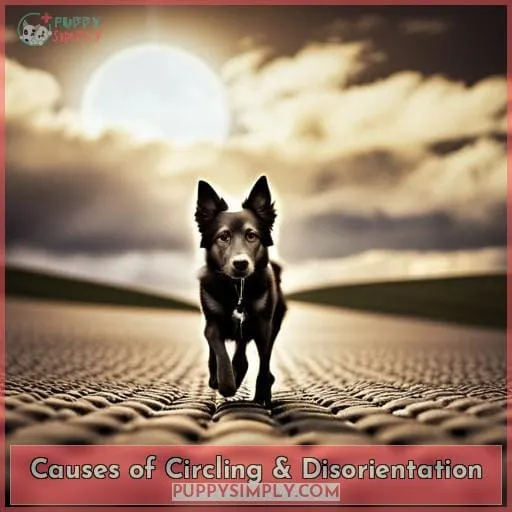 Causes of Circling & Disorientation