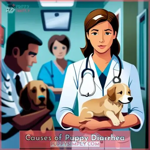 Causes of Puppy Diarrhea