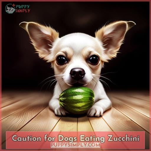 Caution for Dogs Eating Zucchini