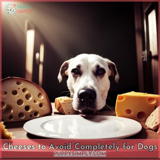 Cheeses to Avoid Completely for Dogs