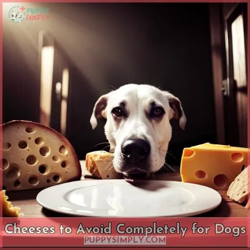 Cheeses to Avoid Completely for Dogs