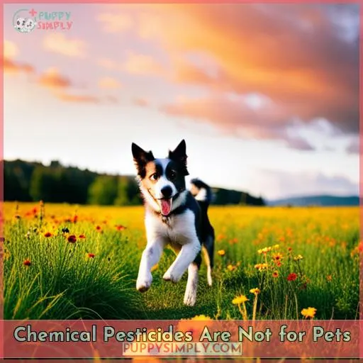Chemical Pesticides Are Not for Pets