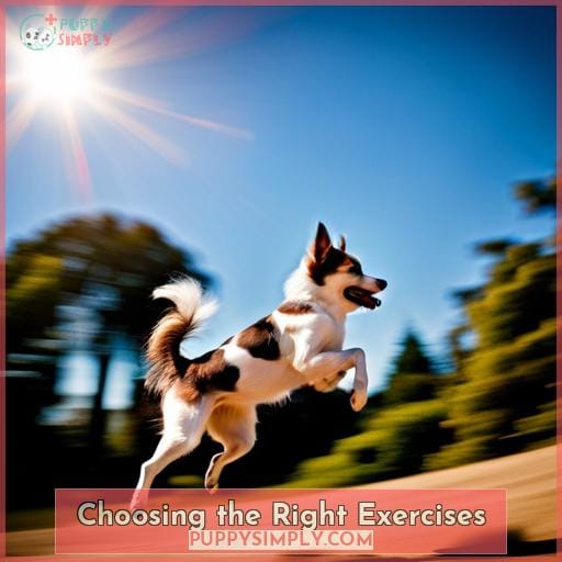 How to Build Dog Muscle The Best Exercises & Tips