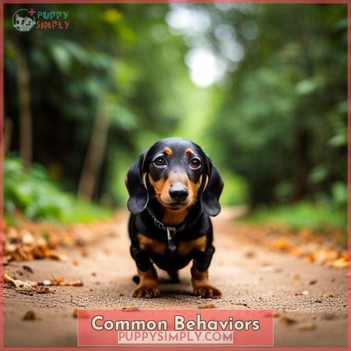 Common Behaviors