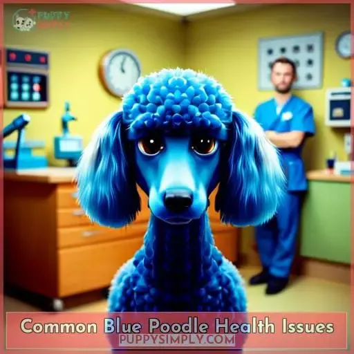 Common Blue Poodle Health Issues