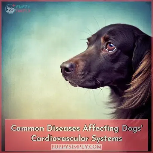 Common Diseases Affecting Dogs