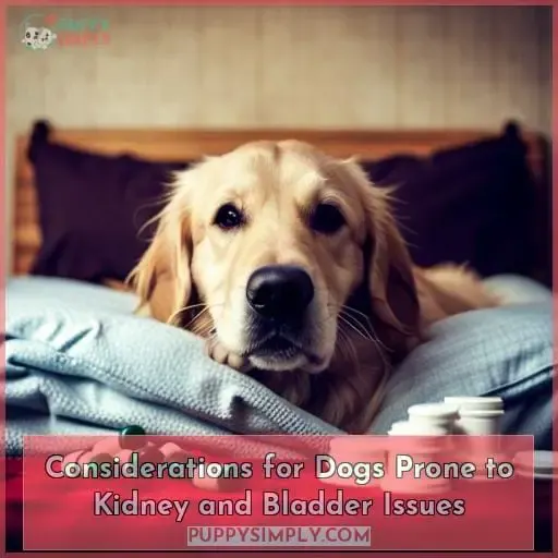 Considerations for Dogs Prone to Kidney and Bladder Issues