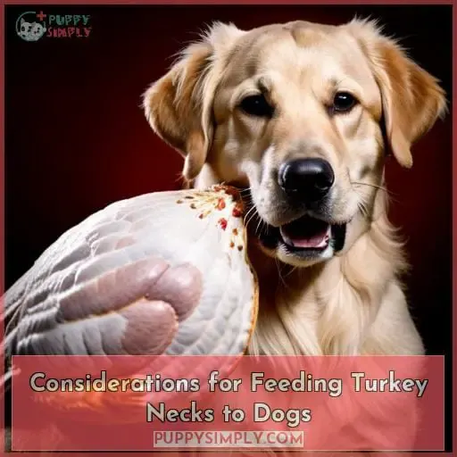 Considerations for Feeding Turkey Necks to Dogs