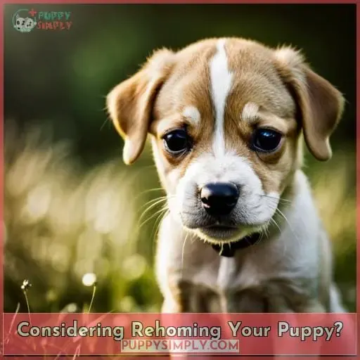 Considering Rehoming Your Puppy?