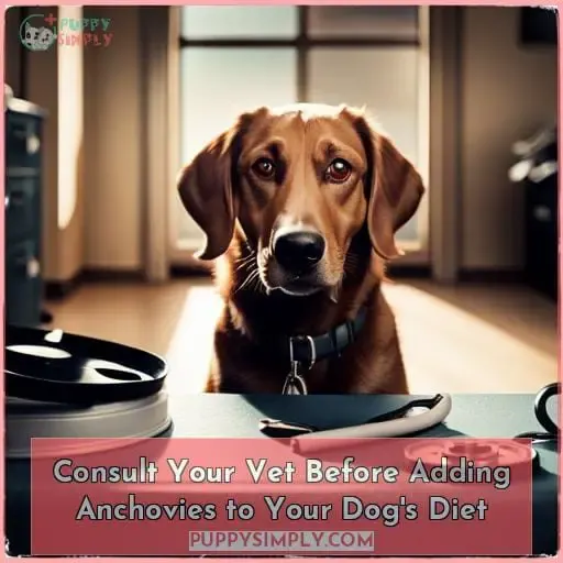 Consult Your Vet Before Adding Anchovies to Your Dog