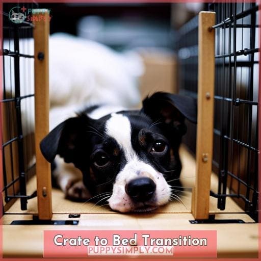 Crate to Bed Transition Crate to Bed Transition