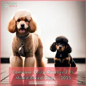 crossbreed vs purebred dog