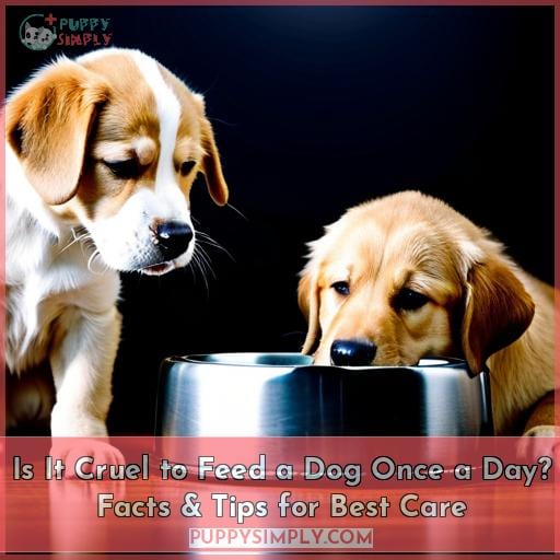 Is It Cruel To Feed A Dog Once A Day Facts And Tips For Best Care