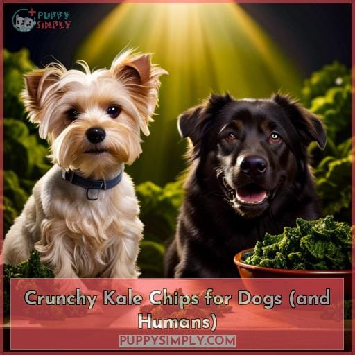 Crunchy Kale Chips for Dogs (and Humans)