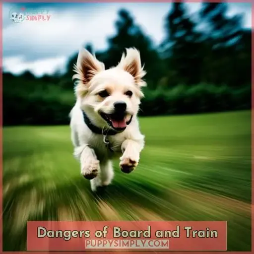 Dangers of Board and Train