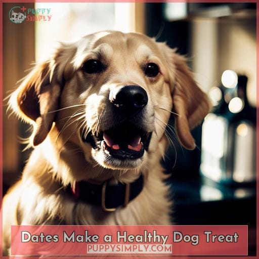 Dates Make a Healthy Dog Treat
