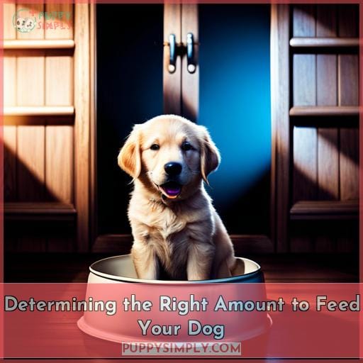 Determining the Right Amount to Feed Your Dog