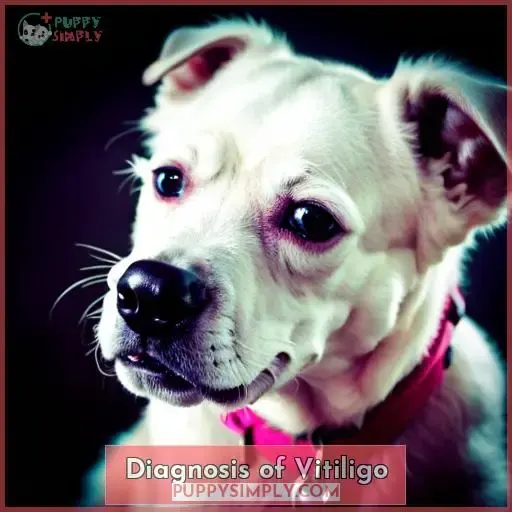 Diagnosis of Vitiligo