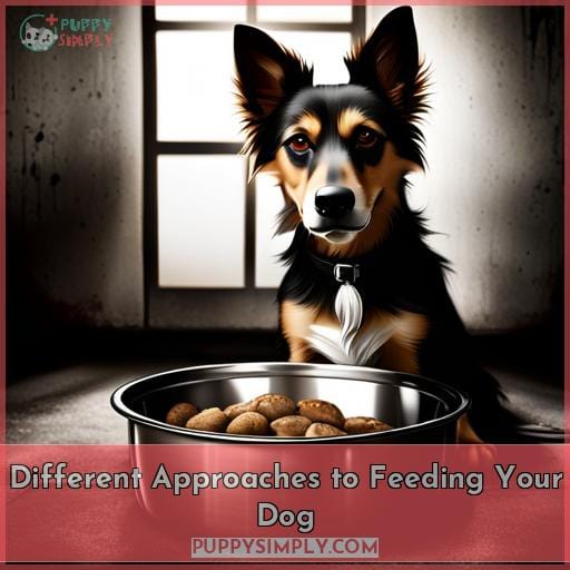 Different Approaches to Feeding Your Dog