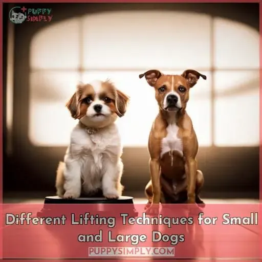 Different Lifting Techniques for Small and Large Dogs