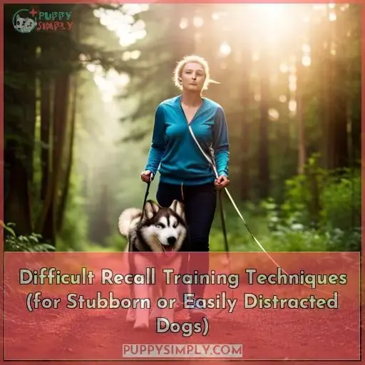 Difficult Recall Training Techniques (for Stubborn or Easily Distracted Dogs)