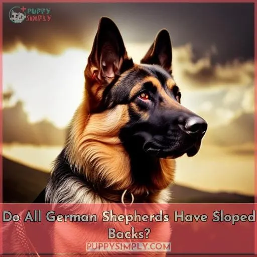 Do All German Shepherds Have Sloped Backs?