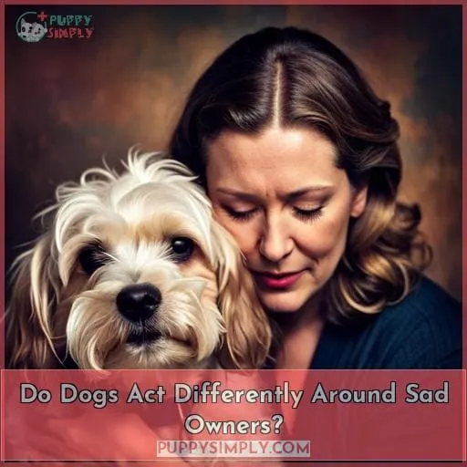 Do Dogs Act Differently Around Sad Owners?