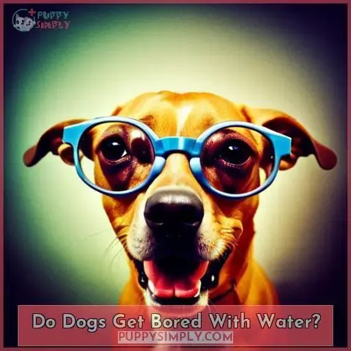 Do Dogs Get Bored With Water?