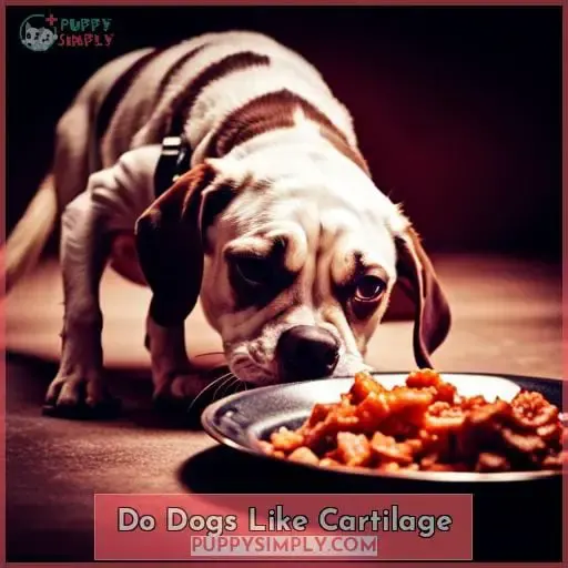 Do Dogs Like Cartilage?
