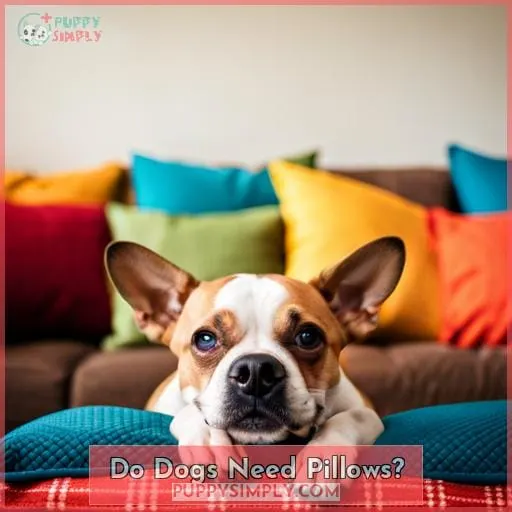 Do Dogs Need Pillows?