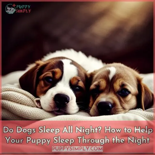 do dogs sleep all night
