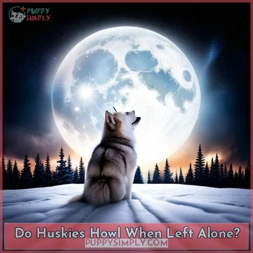 Do Huskies Howl When Left Alone?