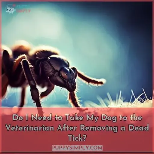 Do I Need to Take My Dog to the Veterinarian After Removing a Dead Tick?