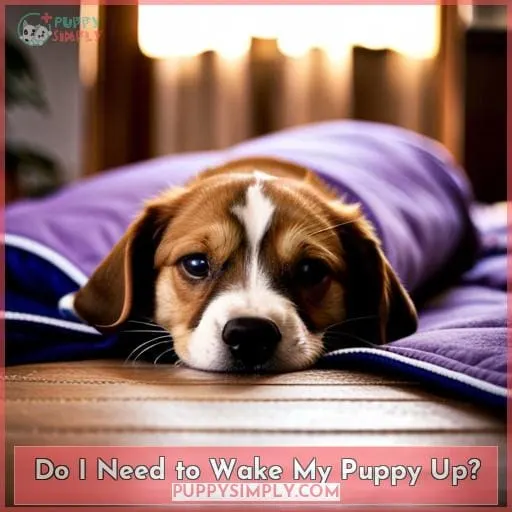 Do I Need to Wake My Puppy Up?