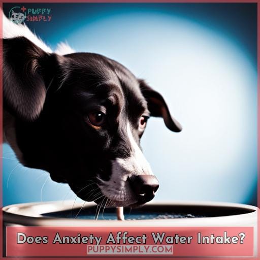 Does Anxiety Affect Water Intake?
