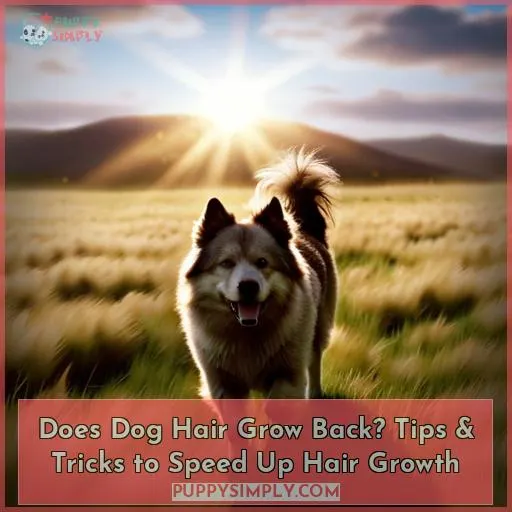 does dog hair grow back