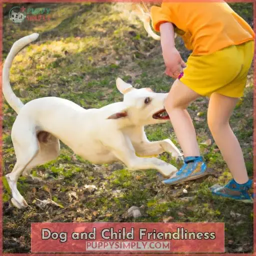 Dog and Child Friendliness