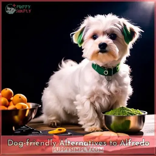 Dog-friendly Alternatives to Alfredo