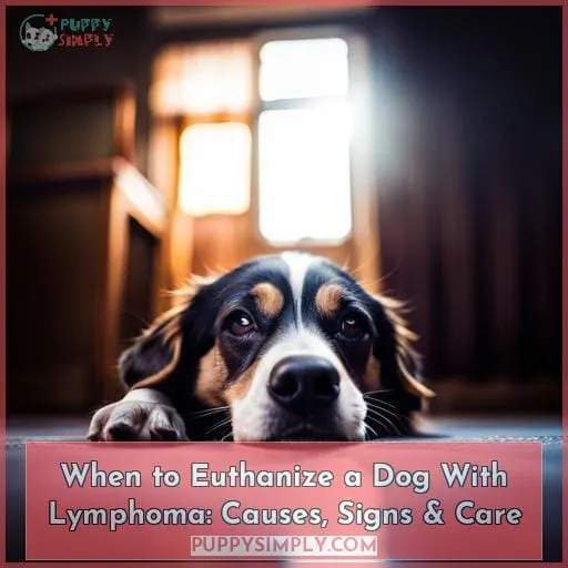 dog lymphoma when to euthanize