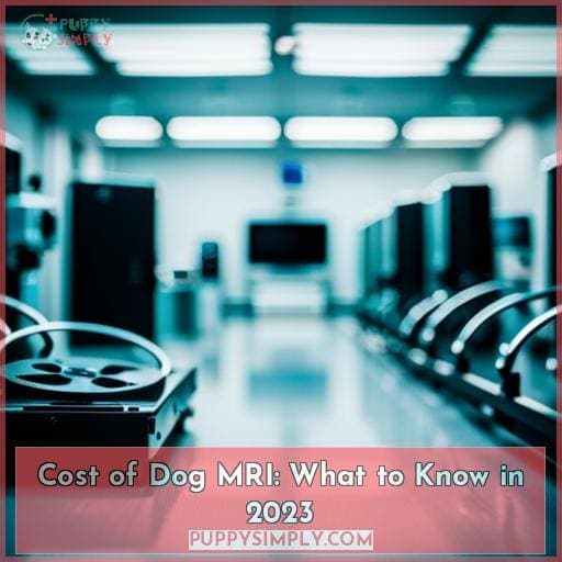 Cost of Dog MRI What to Know in 2023