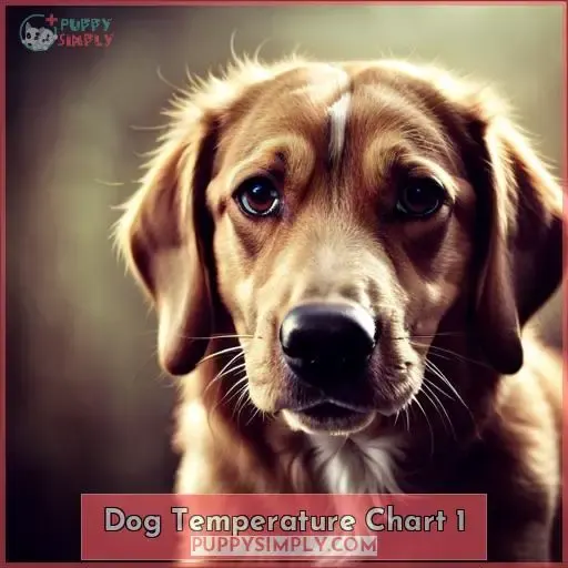 dog temperature chart 1