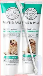 Dog Toothbrush and Toothpaste Brushing