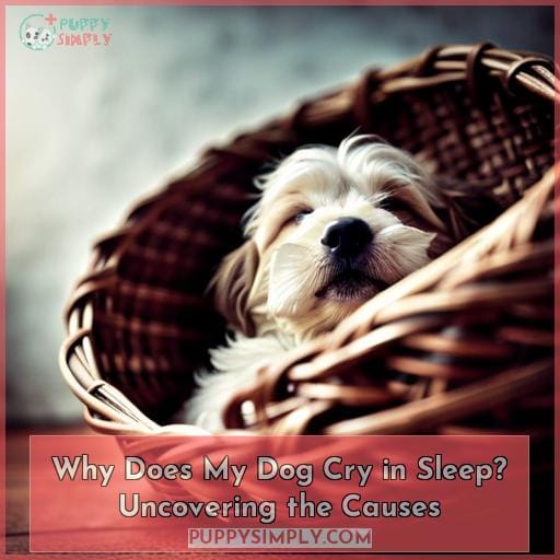 Why Does My Dog Cry In Sleep? Uncovering The Causes