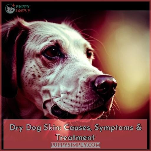 Dry Dog Skin Causes, Symptoms & Treatment